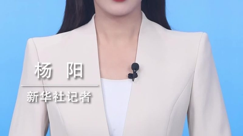 数据湖批量处理平台：揭秘其排名背后的技术逻辑
