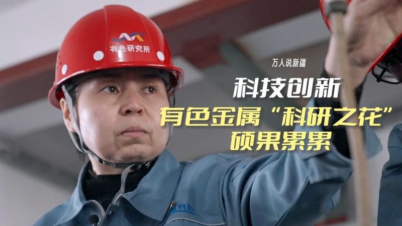 数据定制服务：价格背后的考量因素